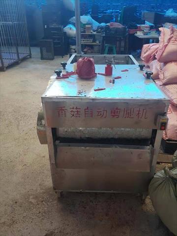 乾香菇製品-香菇乾 產品圖片（圖片編號 872404）