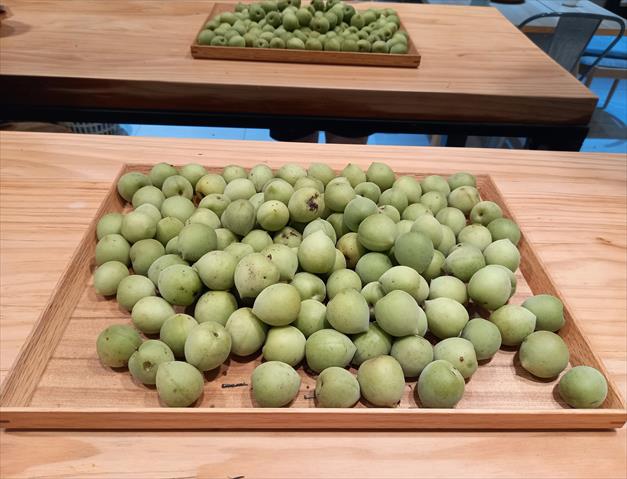 梅 產品圖片（圖片編號 874847）