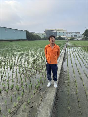 軟秈稻(白米) 產品圖片（產品編號 651901）