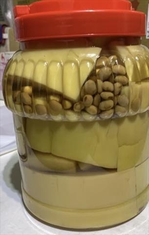竹筍 產品圖片（圖片編號 875121）