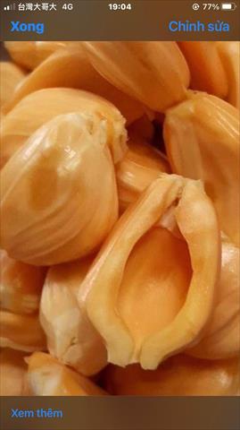 小菠蘿蜜 產品圖片（圖片編號 875135）
