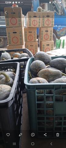 南瓜(金瓜) 產品圖片（產品編號 652792）