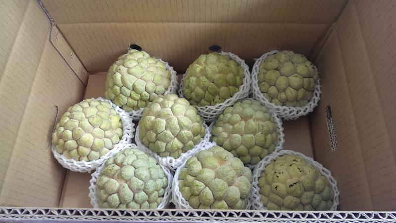 番荔枝(釋迦) 產品圖片（圖片編號 877487）