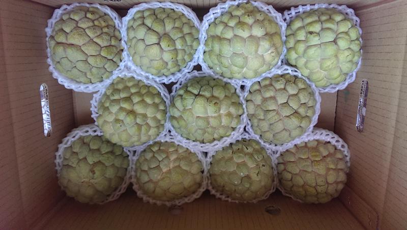 番荔枝(釋迦) 產品圖片（圖片編號 877488）