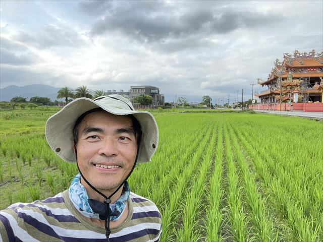 稉稻(白米或黑米) 產品圖片（圖片編號 877770）