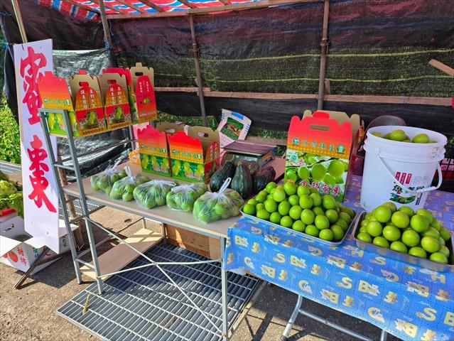 棗 產品圖片（產品編號 653167）