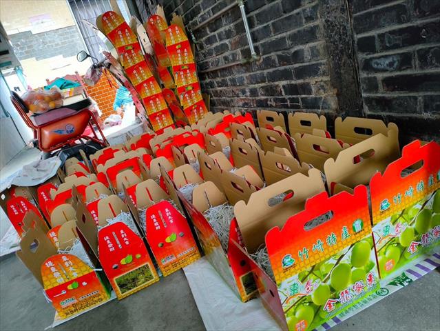 棗 產品圖片（圖片編號 877823）