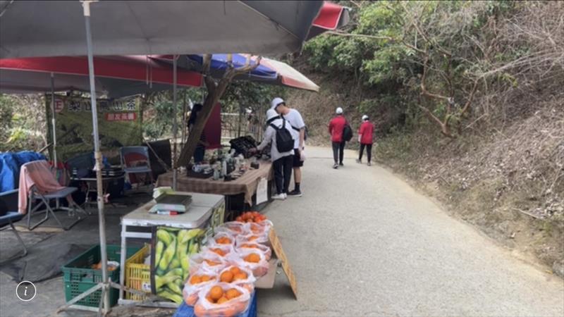 桶柑 產品圖片（圖片編號 878124）