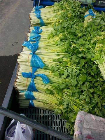 芹菜(西洋芹) 產品圖片（產品編號 653430）
