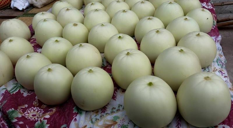 香瓜(美濃瓜) 產品圖片（產品編號 654035）
