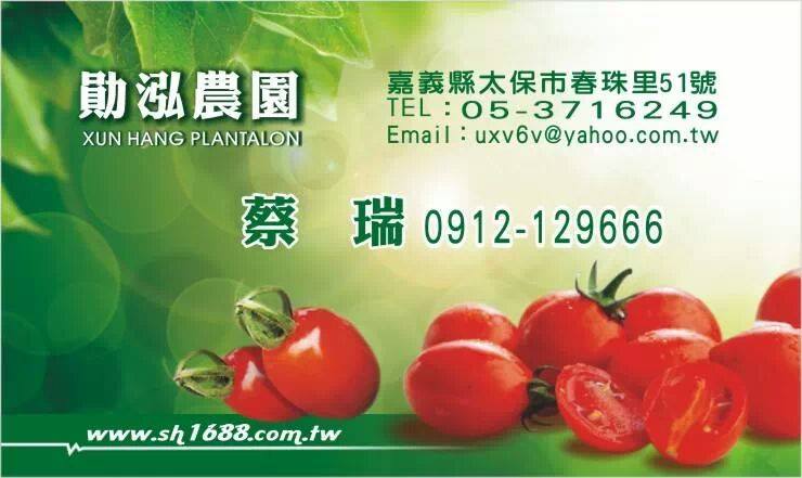 番茄(含小番茄) 產品圖片（圖片編號 879833）