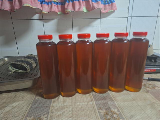 蜂產品-蜂蜜 產品圖片（圖片編號 880611）