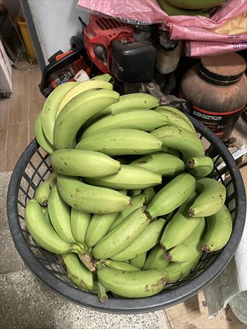 香蕉 產品圖片（產品編號 654438）