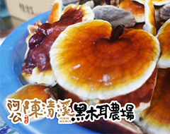 靈芝 產品圖片（產品編號 654703）
