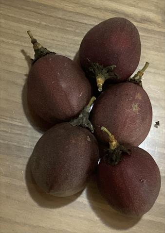 百香果 產品圖片（產品編號 657644）