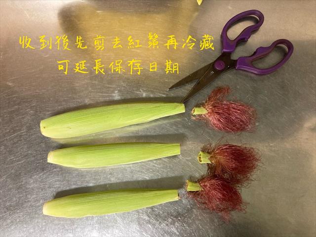 食用玉米(含玉米筍) 產品圖片（圖片編號 887827）