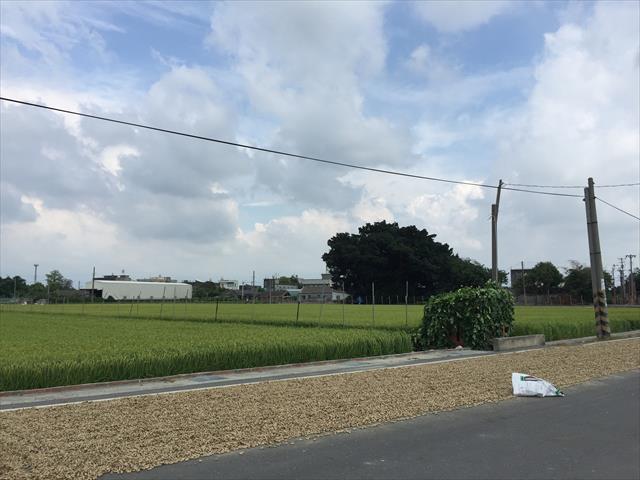 花生製品-醬 產品圖片（圖片編號 887832）