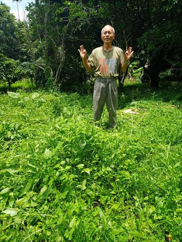 荔枝 產品圖片（產品編號 658438）