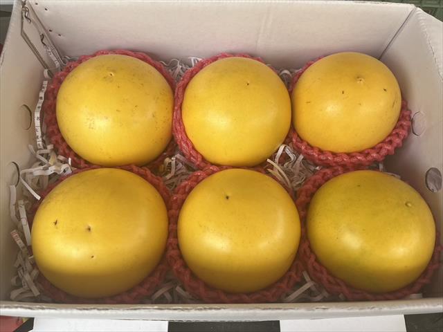 黃金果(黃晶果,加蜜蛋黃果,蜜蛋黃果) 產品圖片（圖片編號 889167）