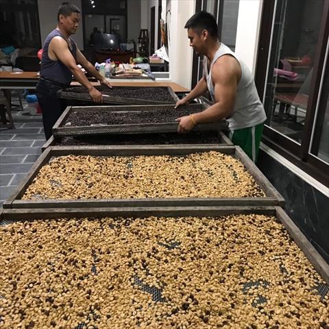 咖啡製品-咖啡 產品圖片（圖片編號 890067）