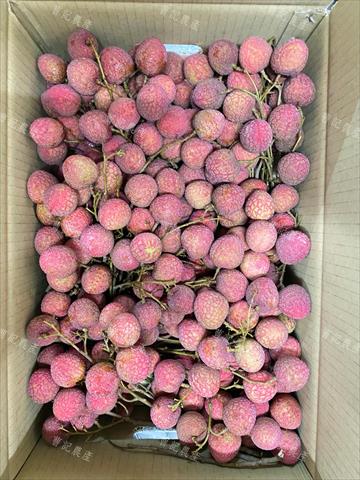 荔枝 產品圖片（產品編號 538323）