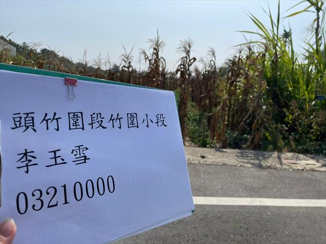 硬質玉米 產品圖片（產品編號 659295）