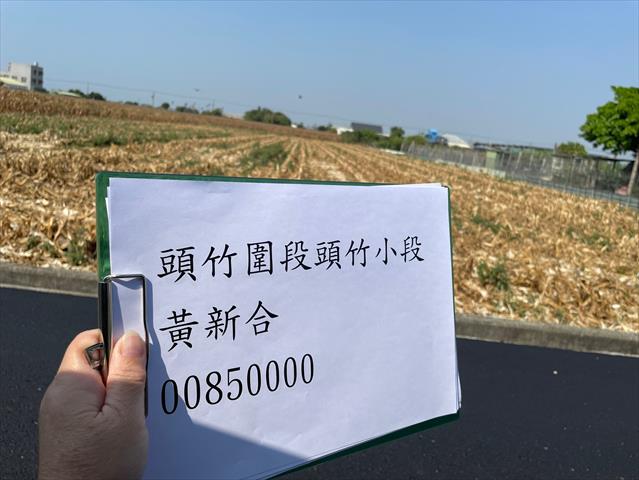 硬質玉米 產品圖片（產品編號 659298）