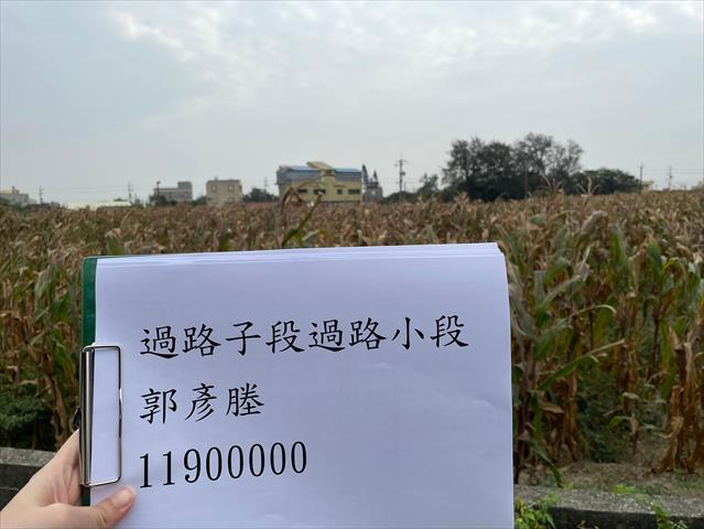 硬質玉米 產品圖片（產品編號 659306）