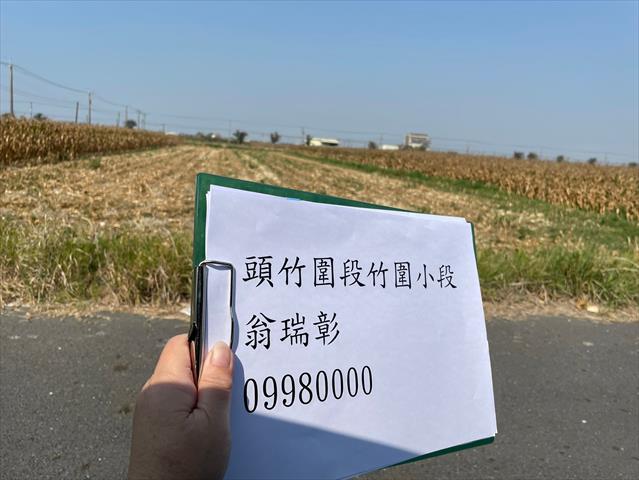 硬質玉米 產品圖片（產品編號 659567）