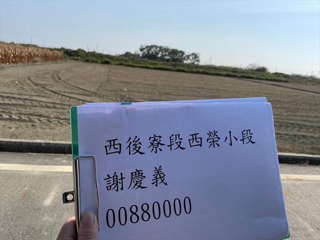 硬質玉米 產品圖片（產品編號 659570）