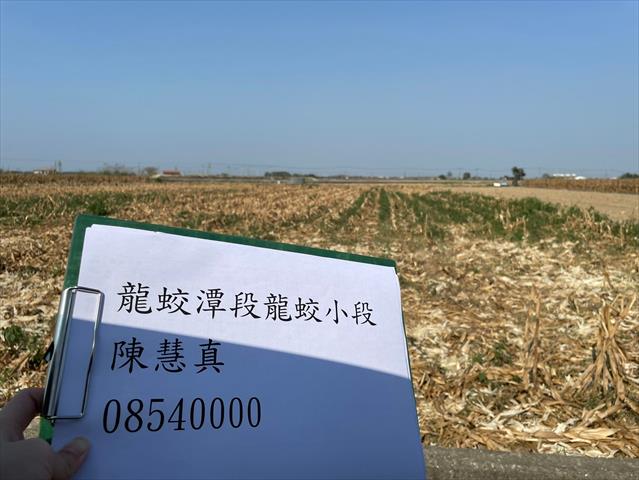 硬質玉米 產品圖片（產品編號 659571）
