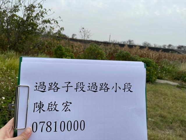 硬質玉米 產品圖片（產品編號 659573）