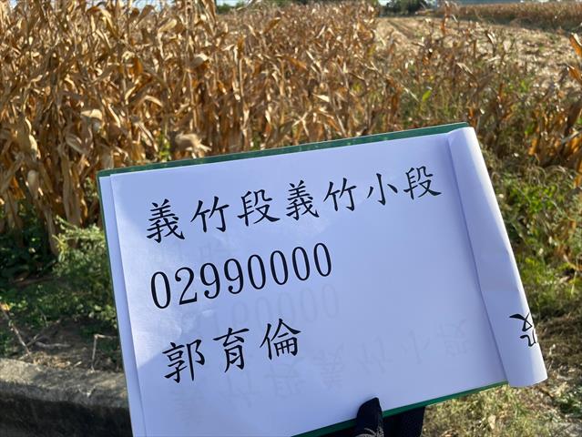 硬質玉米 產品圖片（產品編號 661490）