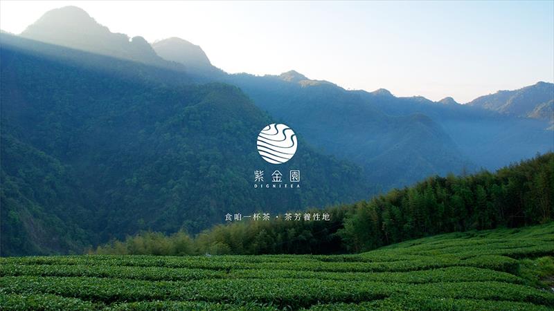 茶製品-茶 產品圖片（圖片編號 896345）