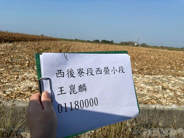 硬質玉米 產品圖片（產品編號 662622）