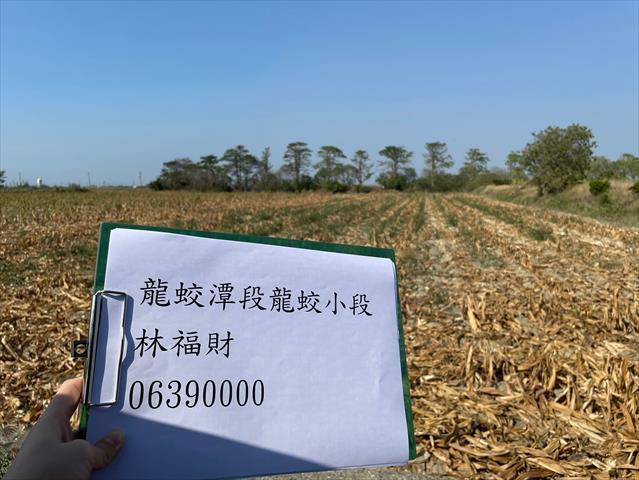 硬質玉米 產品圖片（產品編號 662712）
