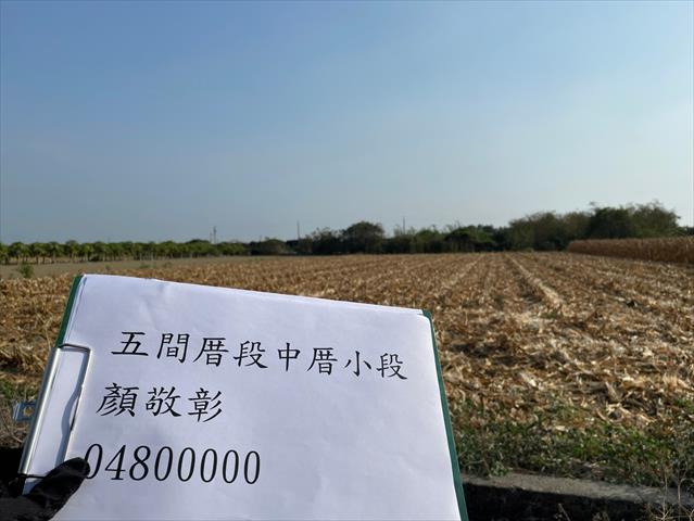 硬質玉米 產品圖片（產品編號 662716）