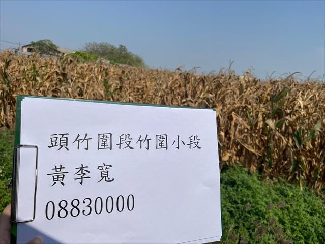 硬質玉米 產品圖片（產品編號 662720）
