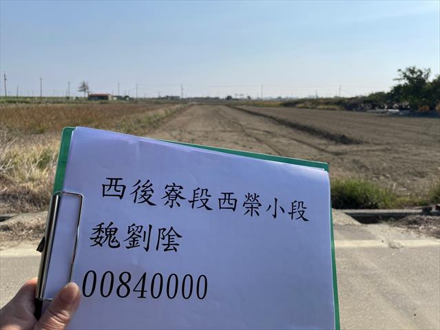 硬質玉米 產品圖片（產品編號 662724）
