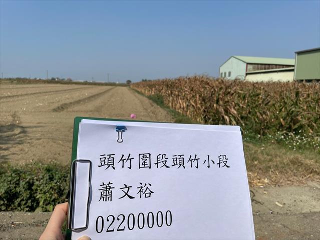 硬質玉米 產品圖片（產品編號 662727）