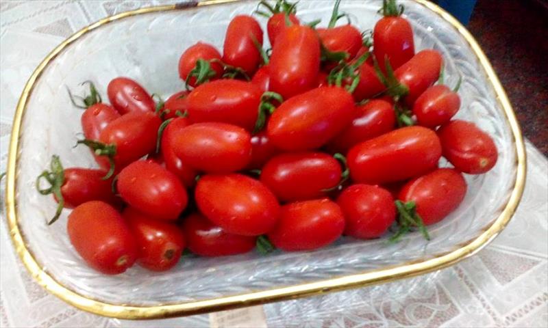 番茄(含小番茄) 產品圖片（產品編號 663056）
