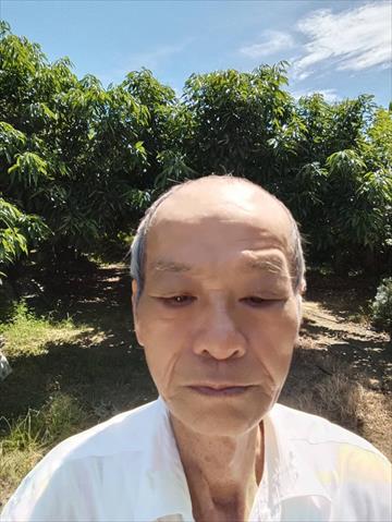 荔枝 產品圖片（產品編號 663106）