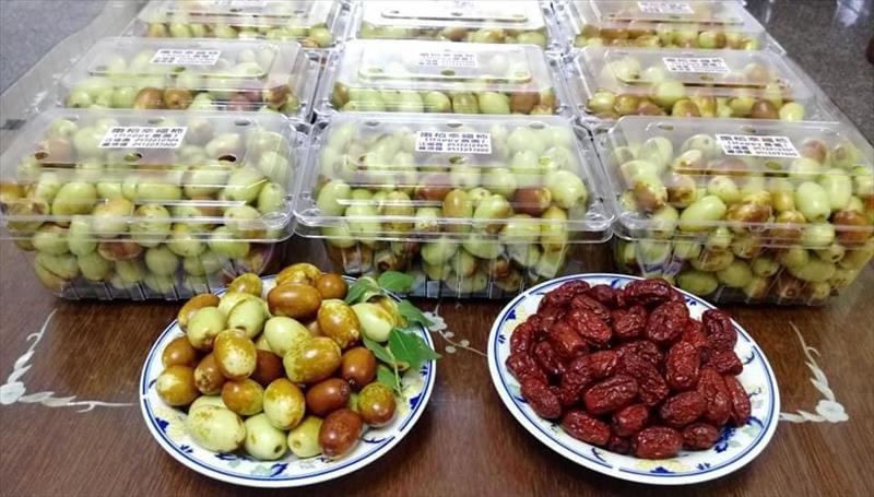 紅棗 產品圖片（圖片編號 904676）