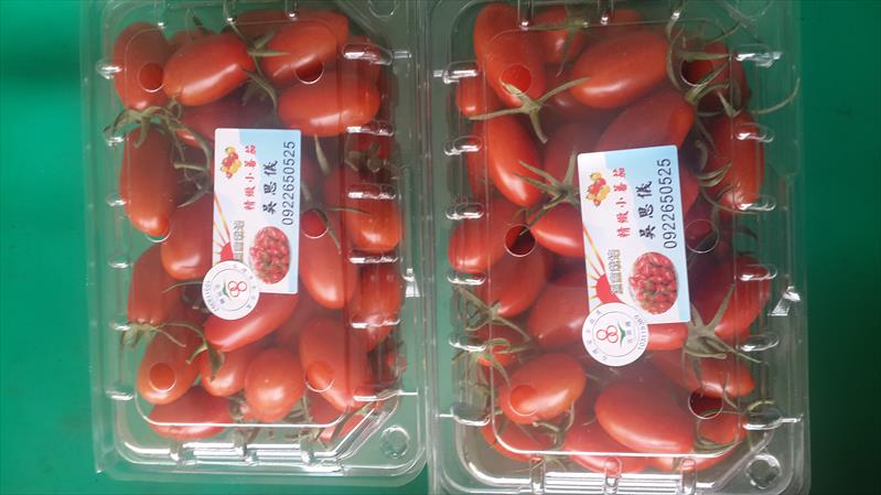 番茄(含小番茄) 產品圖片（圖片編號 90810）