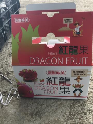 紅龍果 產品圖片（產品編號 668976）