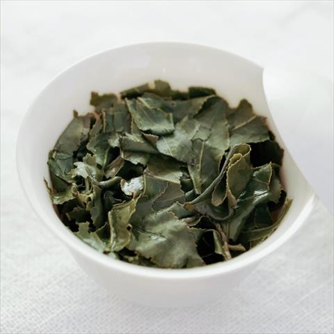 茶製品-茶 產品圖片（產品編號 648268）