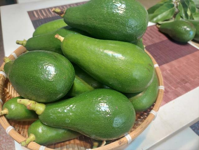 酪梨 產品圖片（產品編號 669402）