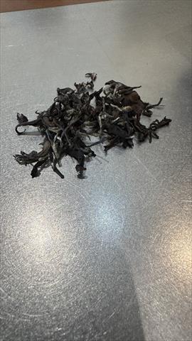 茶製品-茶 產品圖片（產品編號 669549）