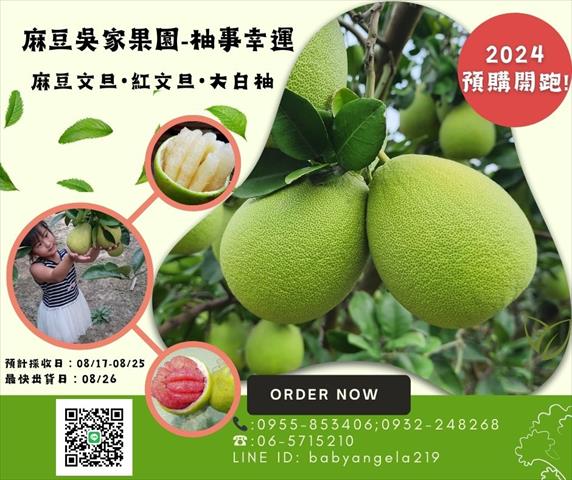 文旦柚 產品圖片（圖片編號 913251）