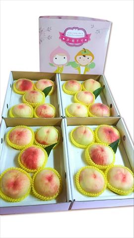桃 產品圖片（產品編號 673018）